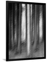 Abandoned Forest-Jacob Berghoef-Framed Photographic Print