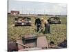 Abandoned French Tanks in a Field, Dunkirk, France, 1940-null-Stretched Canvas