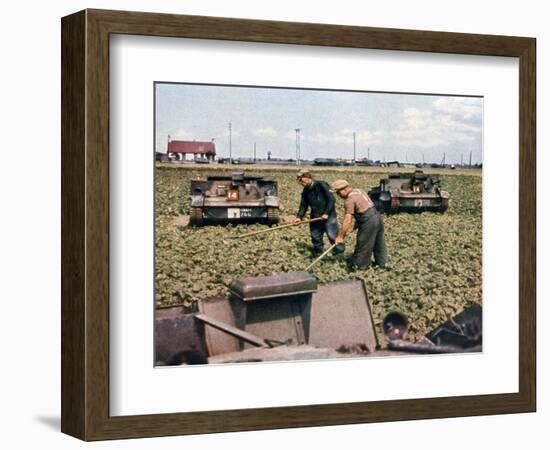 Abandoned French Tanks in a Field, Dunkirk, France, 1940-null-Framed Giclee Print