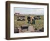 Abandoned French Tanks in a Field, Dunkirk, France, 1940-null-Framed Giclee Print