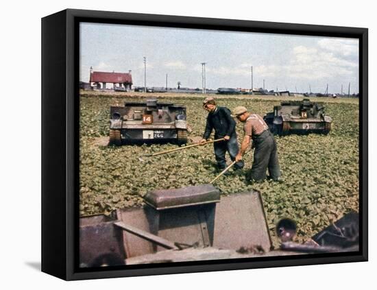 Abandoned French Tanks in a Field, Dunkirk, France, 1940-null-Framed Stretched Canvas