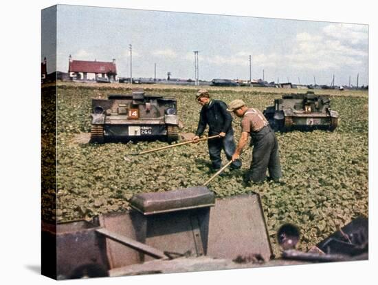 Abandoned French Tanks in a Field, Dunkirk, France, 1940-null-Stretched Canvas