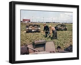 Abandoned French Tanks in a Field, Dunkirk, France, 1940-null-Framed Giclee Print