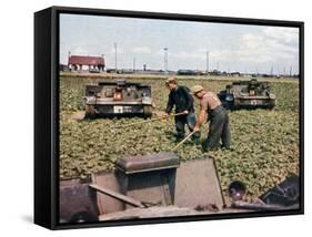 Abandoned French Tanks in a Field, Dunkirk, France, 1940-null-Framed Stretched Canvas