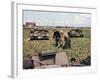 Abandoned French Tanks in a Field, Dunkirk, France, 1940-null-Framed Giclee Print