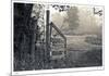 Abandoned Gate-Donald Satterlee-Mounted Limited Edition