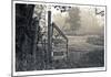 Abandoned Gate-Donald Satterlee-Mounted Limited Edition