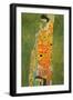 Abandoned Hope-Gustav Klimt-Framed Art Print