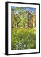 Abandoned Hotel Remnant, Catskill Mountains-Vincent James-Framed Photographic Print