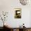 Abandoned House Full of Sand. Kolmanskop Ghost Town, Namib Desert Namibia, October 2013-Enrique Lopez-Tapia-Photographic Print displayed on a wall