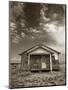 Abandoned House-Aaron Horowitz-Mounted Photographic Print