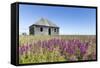 Abandoned Hudson Bay Company Trading Post, Canada-Paul Souders-Framed Stretched Canvas