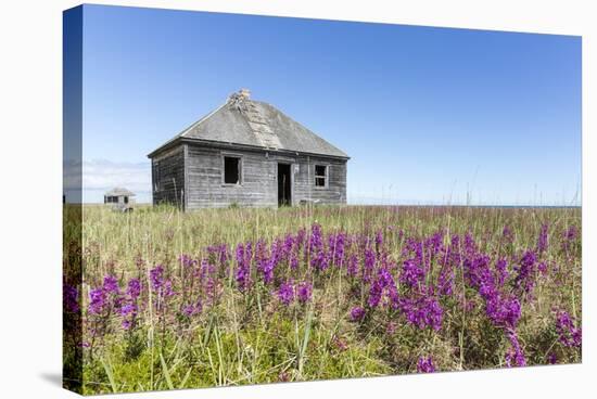 Abandoned Hudson Bay Company Trading Post, Canada-Paul Souders-Stretched Canvas