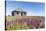 Abandoned Hudson Bay Company Trading Post, Canada-Paul Souders-Stretched Canvas