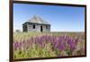 Abandoned Hudson Bay Company Trading Post, Canada-Paul Souders-Framed Photographic Print