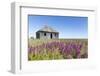 Abandoned Hudson Bay Company Trading Post, Canada-Paul Souders-Framed Photographic Print