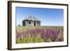 Abandoned Hudson Bay Company Trading Post, Canada-Paul Souders-Framed Photographic Print