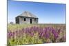 Abandoned Hudson Bay Company Trading Post, Canada-Paul Souders-Mounted Photographic Print