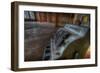 Abandoned Interior-Nathan Wright-Framed Photographic Print