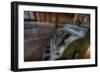 Abandoned Interior-Nathan Wright-Framed Photographic Print