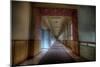 Abandoned Interior-Nathan Wright-Mounted Photographic Print