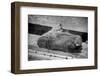 Abandoned old ghost town of Bodie, California-Jerry Ginsberg-Framed Photographic Print