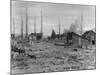 Abandoned Ranch in Owens Valley-W.I. Hutchinson-Mounted Photographic Print