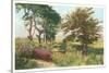 Abandoned Road, Nantucket, Massachusetts-null-Stretched Canvas