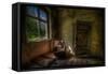 Abandoned Room-Nathan Wright-Framed Stretched Canvas