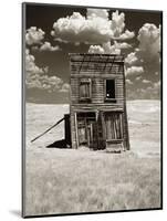 Abandoned Shack in Field-Aaron Horowitz-Mounted Photographic Print