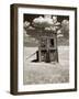 Abandoned Shack in Field-Aaron Horowitz-Framed Photographic Print