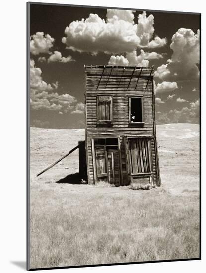 Abandoned Shack in Field-Aaron Horowitz-Mounted Photographic Print
