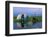 Abandoned Trailer on Flooded Field-null-Framed Photographic Print