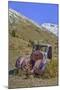 Abandoned Truck, Animas Forks Mine Ruins, Animas Forks, Colorado, Usa-Richard Maschmeyer-Mounted Photographic Print