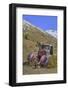 Abandoned Truck, Animas Forks Mine Ruins, Animas Forks, Colorado, Usa-Richard Maschmeyer-Framed Photographic Print