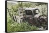 Abandoned Truck Near The Eagles Rise Trail, Mantua Reservoir, Utah-Louis Arevalo-Framed Stretched Canvas