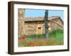 Abandoned Villa with Red Poppies, Tuscany, Italy-Julie Eggers-Framed Premium Photographic Print