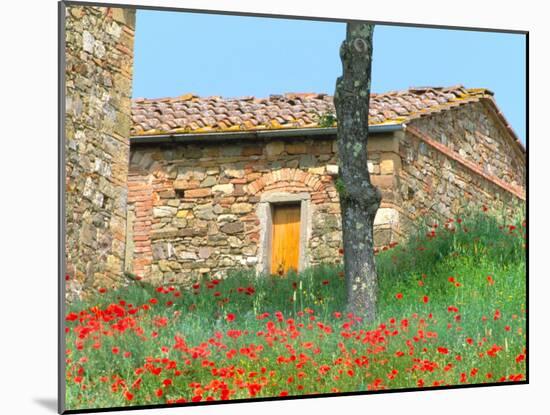 Abandoned Villa with Red Poppies, Tuscany, Italy-Julie Eggers-Mounted Premium Photographic Print