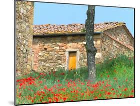 Abandoned Villa with Red Poppies, Tuscany, Italy-Julie Eggers-Mounted Premium Photographic Print