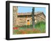 Abandoned Villa with Red Poppies, Tuscany, Italy-Julie Eggers-Framed Photographic Print