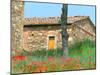 Abandoned Villa with Red Poppies, Tuscany, Italy-Julie Eggers-Mounted Photographic Print