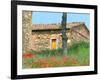 Abandoned Villa with Red Poppies, Tuscany, Italy-Julie Eggers-Framed Photographic Print