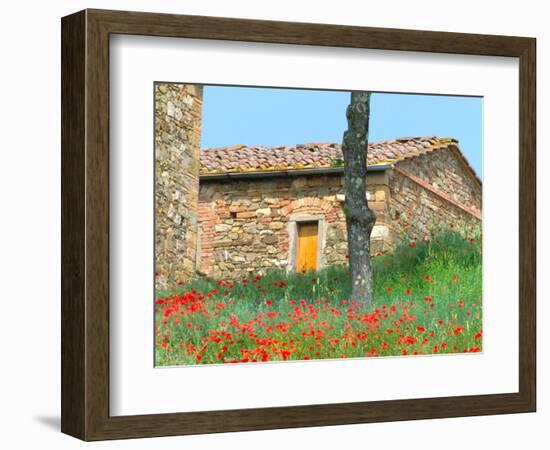 Abandoned Villa with Red Poppies, Tuscany, Italy-Julie Eggers-Framed Photographic Print