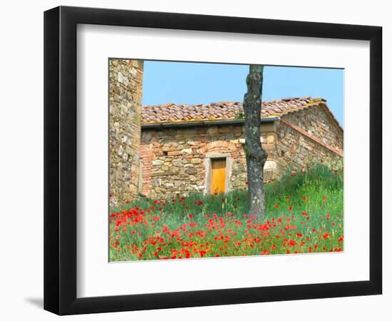 Abandoned Villa with Red Poppies, Tuscany, Italy-Julie Eggers-Framed Photographic Print