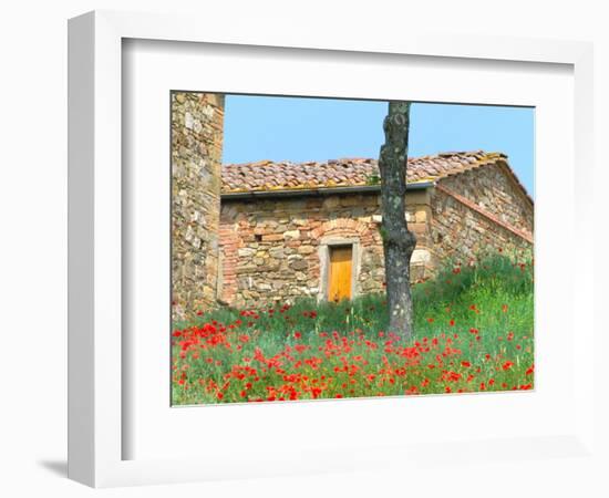 Abandoned Villa with Red Poppies, Tuscany, Italy-Julie Eggers-Framed Photographic Print