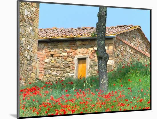 Abandoned Villa with Red Poppies, Tuscany, Italy-Julie Eggers-Mounted Photographic Print