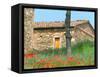 Abandoned Villa with Red Poppies, Tuscany, Italy-Julie Eggers-Framed Stretched Canvas