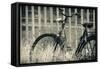 Abandoned Vintage Bicycle-Sheila Haddad-Framed Stretched Canvas