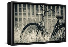 Abandoned Vintage Bicycle-Sheila Haddad-Framed Stretched Canvas