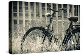 Abandoned Vintage Bicycle-Sheila Haddad-Stretched Canvas